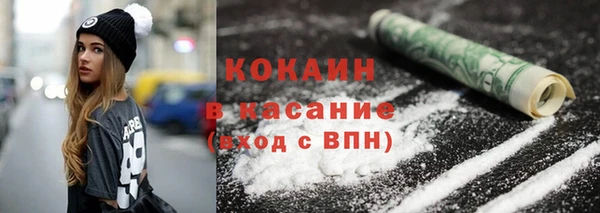 прущие грибы Алексеевка