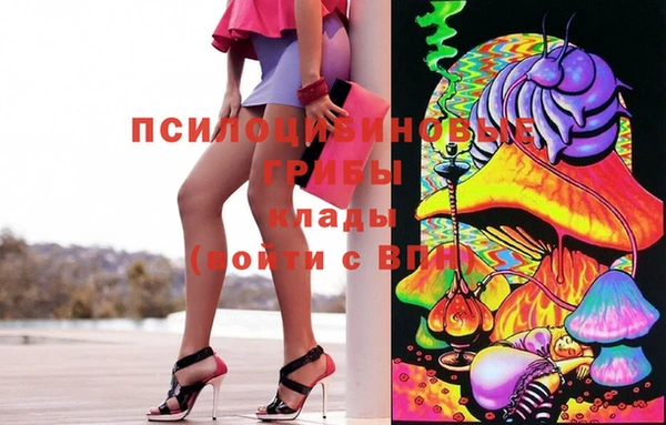 меф Алексин