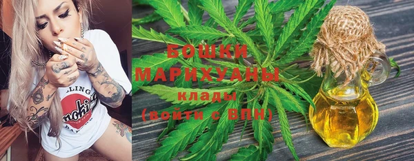PSILOCYBIN Алзамай