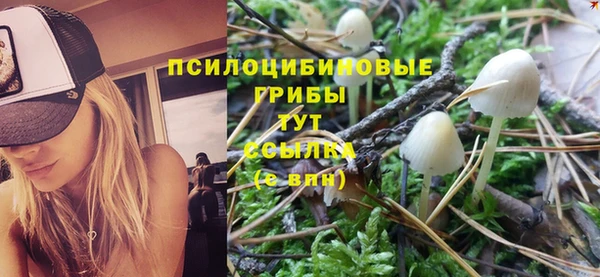 меф Алексин