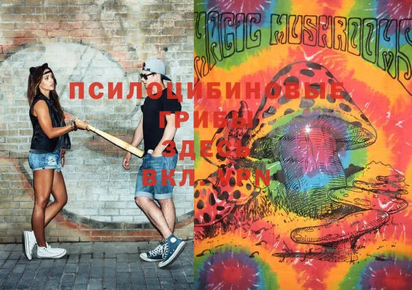 каннабис Новозыбков
