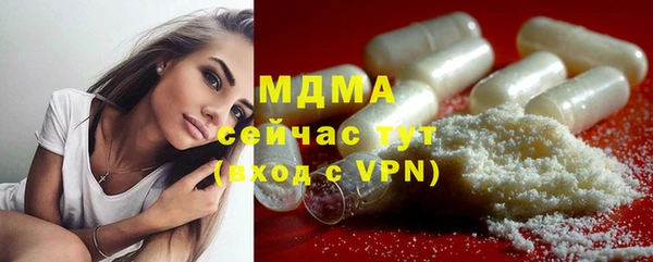 PSILOCYBIN Алзамай