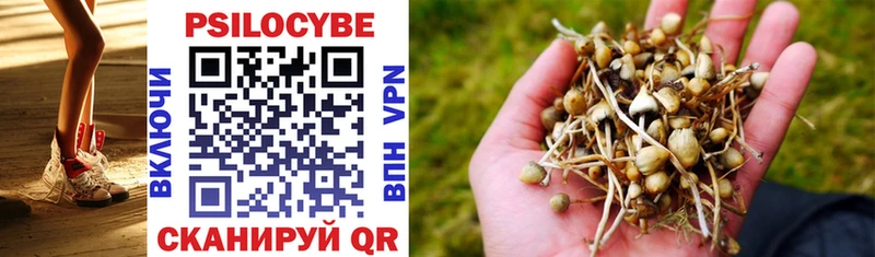 Псилоцибиновые грибы MAGIC MUSHROOMS  Павловская 